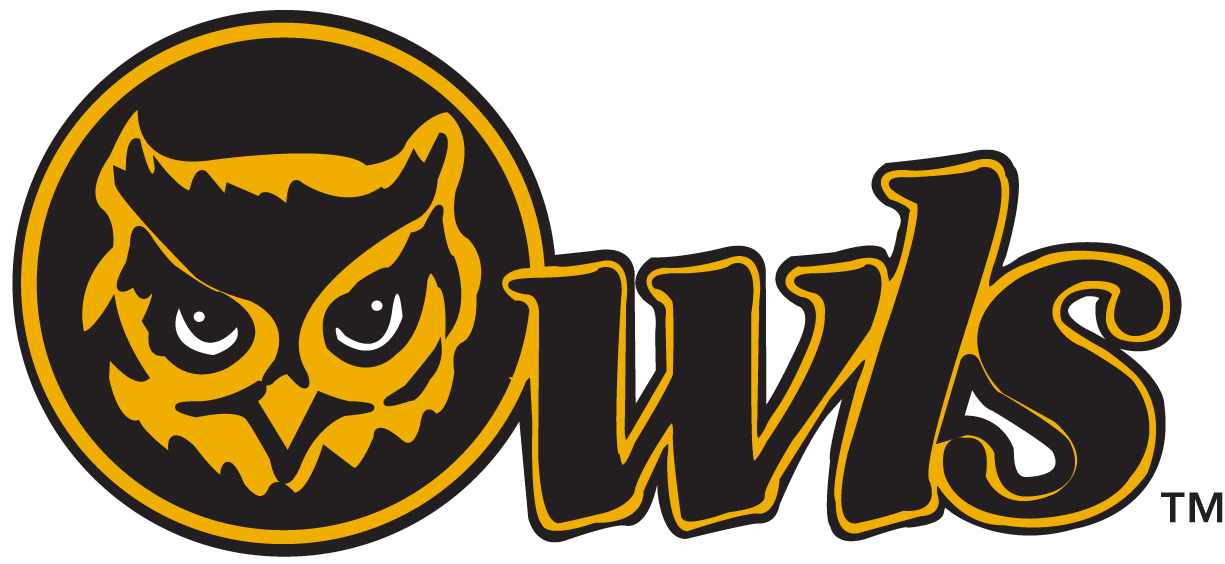 Kennesaw State Owls 1992-2011 Primary Logo iron on paper